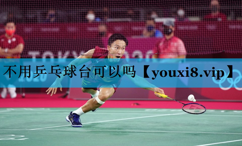 不用乒乓球台可以吗