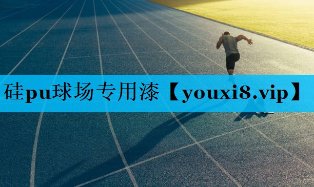 硅pu球场专用漆