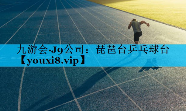 琵琶台乒乓球台