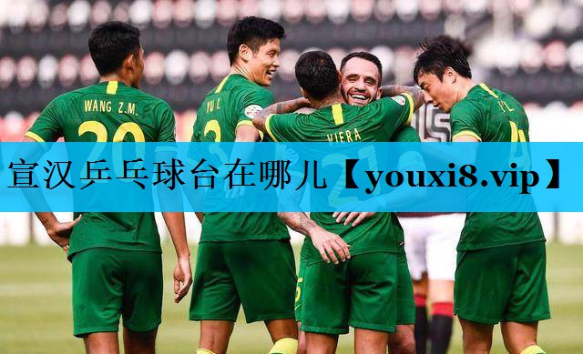 宣汉乒乓球台在哪儿