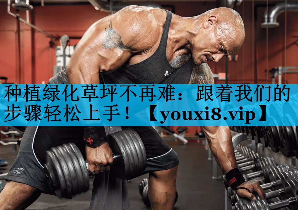 种植绿化草坪不再难：跟着我们的步骤轻松上手！