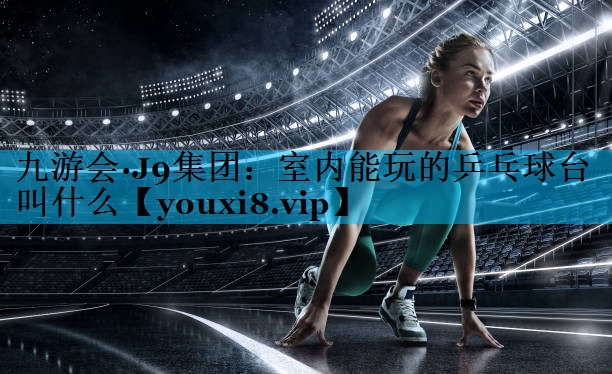 室内能玩的乒乓球台叫什么