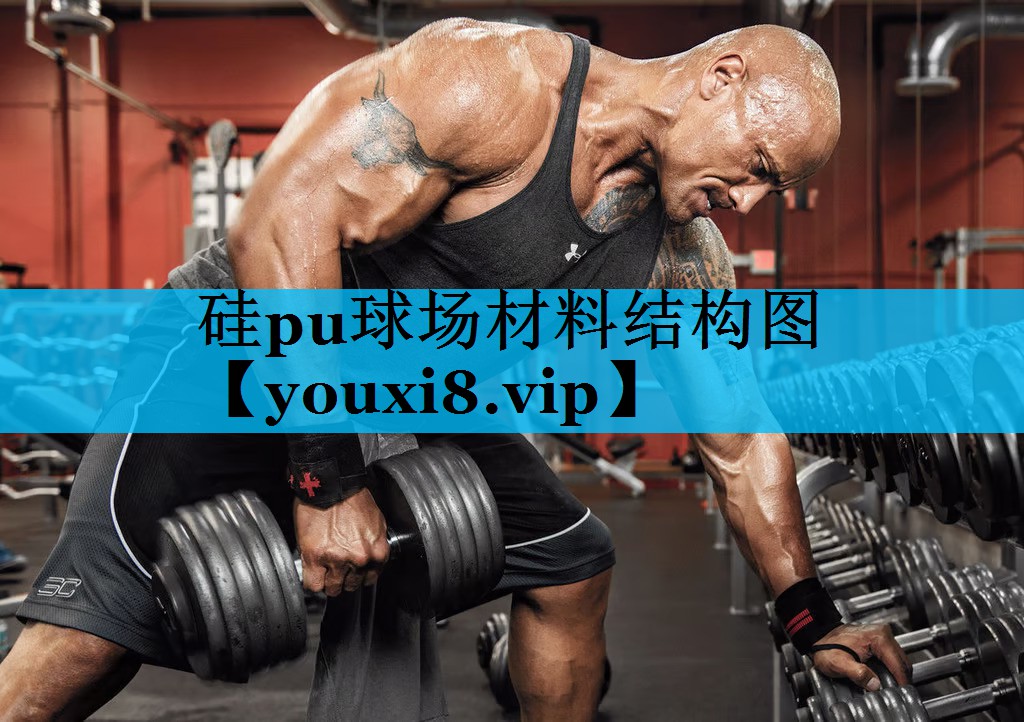 硅pu球场材料结构图