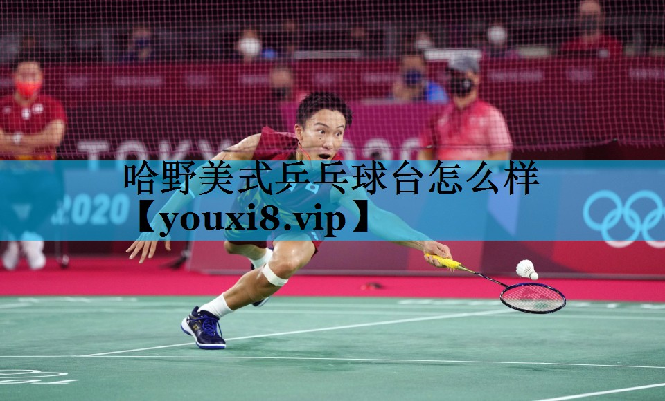 哈野美式乒乓球台怎么样