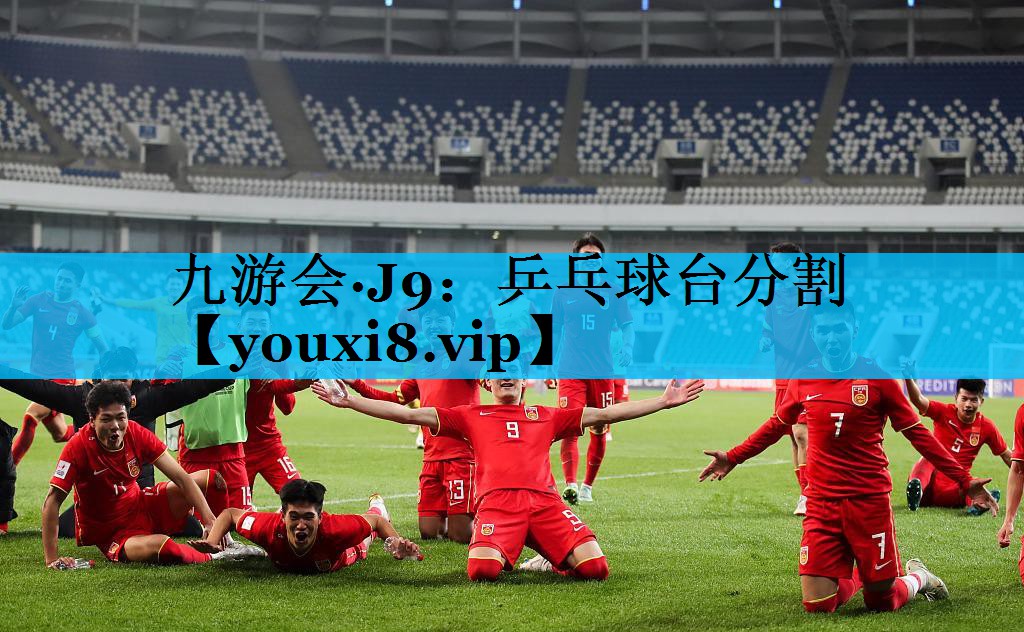 乒乓球台分割