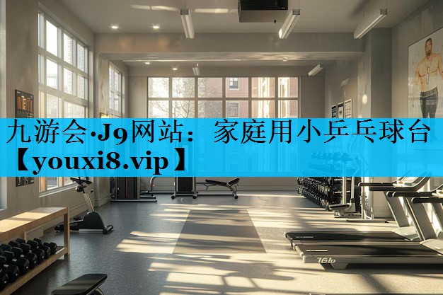 家庭用小乒乓球台