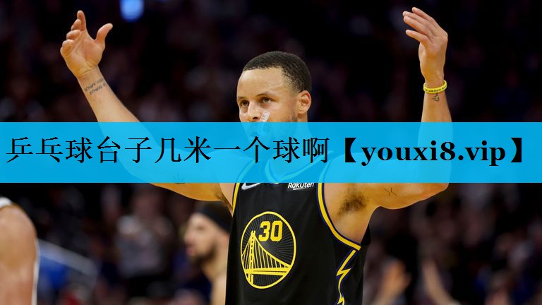 乒乓球台子几米一个球啊