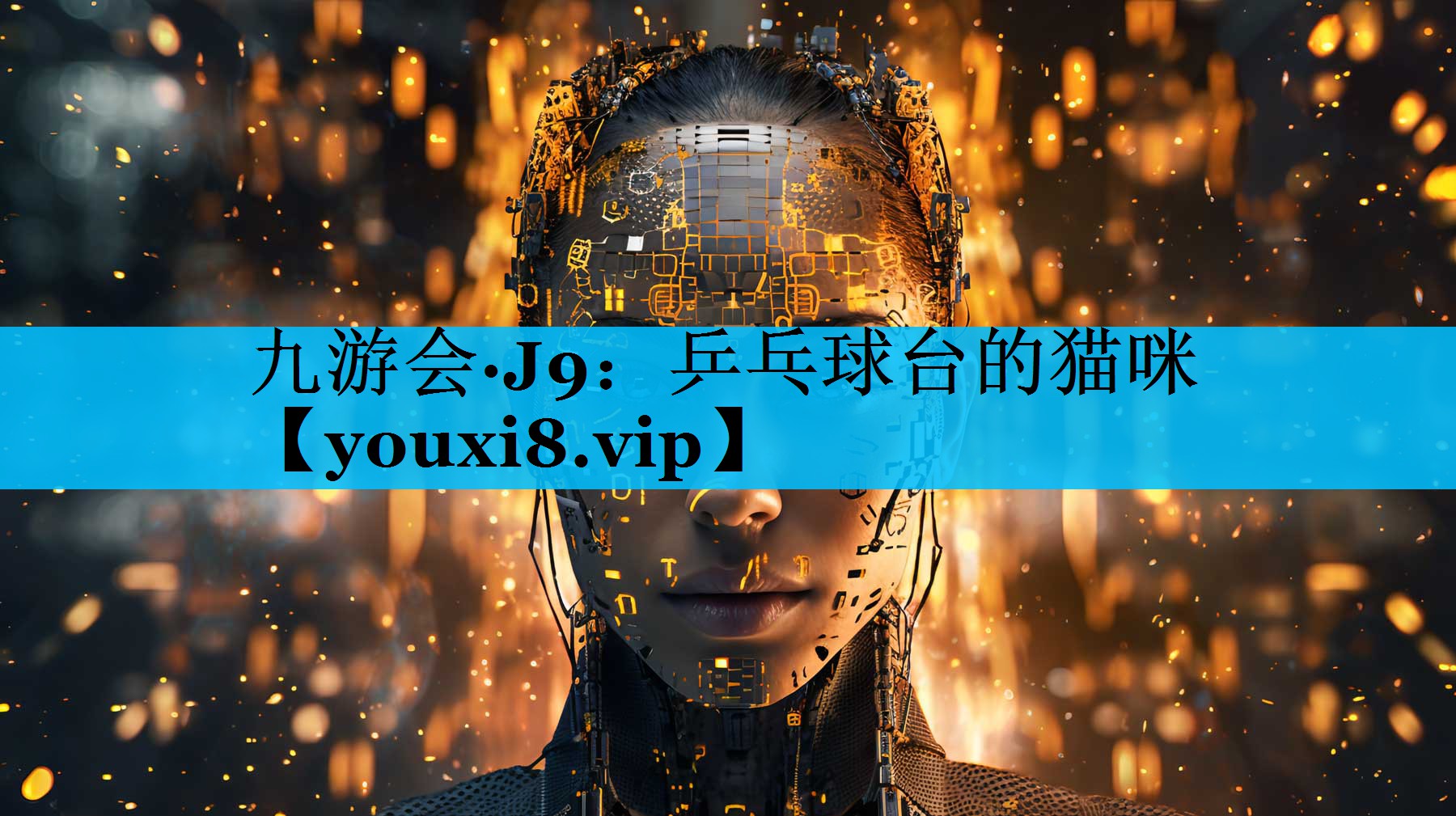乒乓球台的猫咪