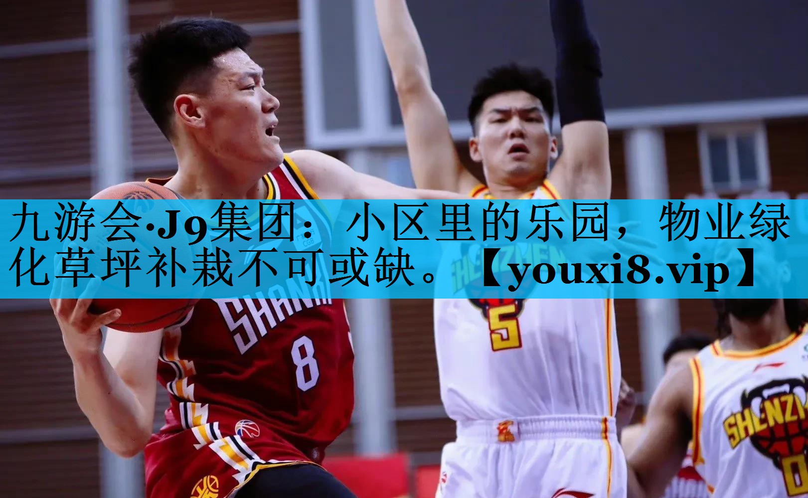 小区里的乐园，物业绿化草坪补栽不可或缺。
