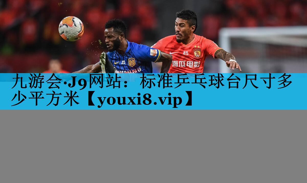 标准乒乓球台尺寸多少平方米