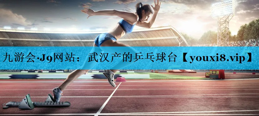 武汉产的乒乓球台