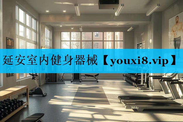 延安室内健身器械