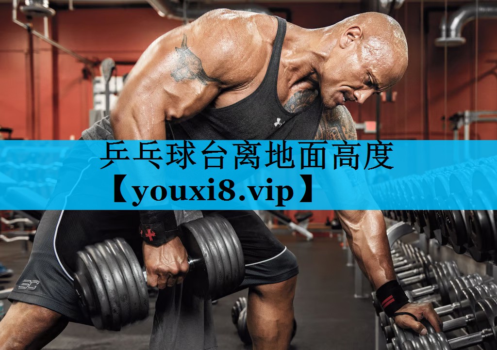 乒乓球台离地面高度